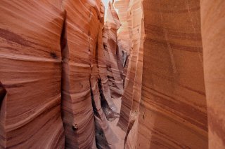 img_6458