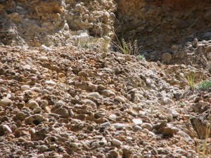 IMG_0871
