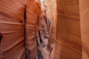 IMG_6458
