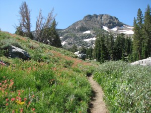 Winnemucca Lake trail