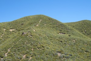 IMG_0242
