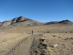 IMG_0939