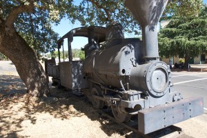 IMG_8177