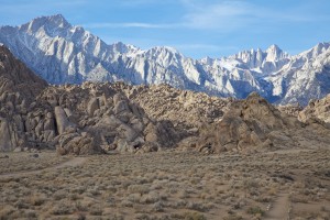IMG_4443