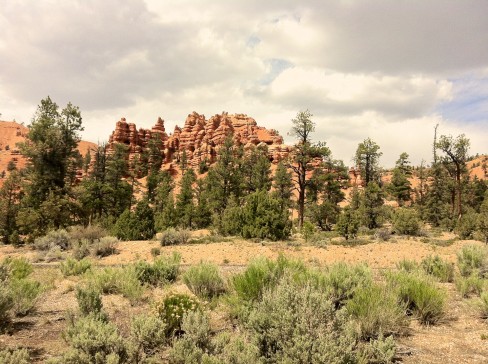 Red Canyon formations