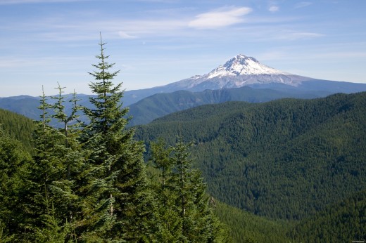 Mt. Hood