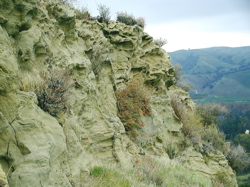 Cliff near Viewpoint cache