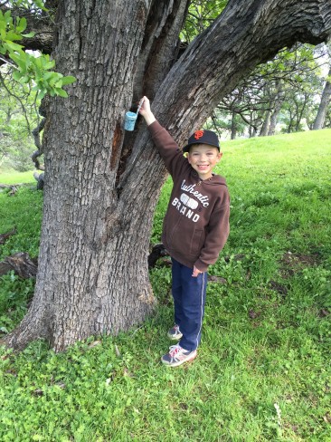 Chase finds a cache