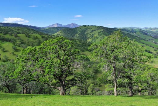 Mount Diablo peaks over the ridges