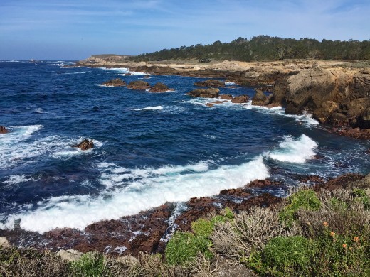 Coastline at Point Lobos