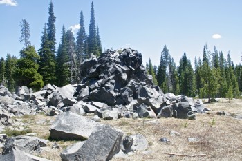 _MG_0492