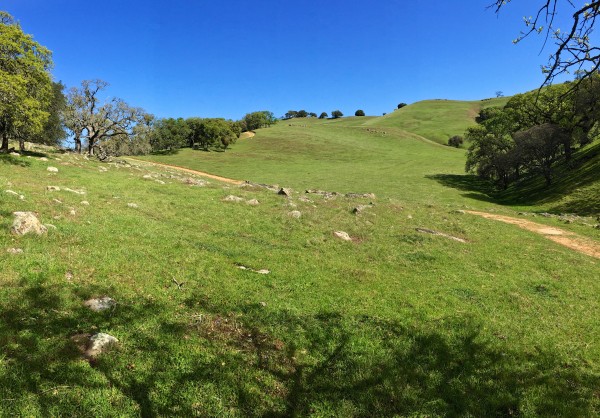 Spring in Morgan Territory
