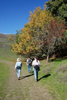 IMG_3121.JPG