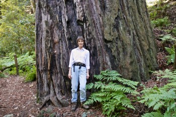 Big tree