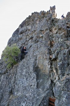 Geobrowns braves the cliff
