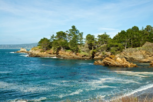 Point Lobos